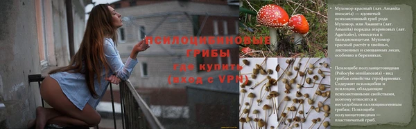 индика Балахна