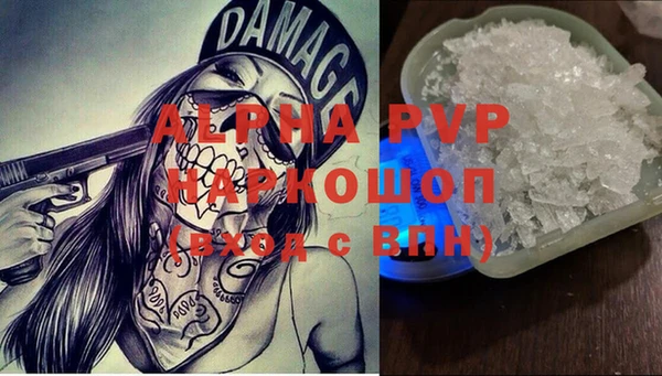 индика Балахна