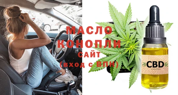 индика Балахна