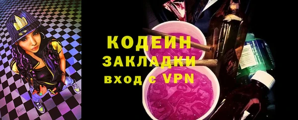 индика Балахна
