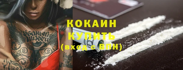 индика Балахна